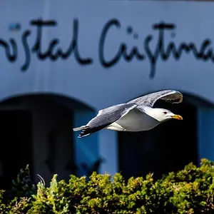 https://hostal-cristina.topcostabravahotels.com