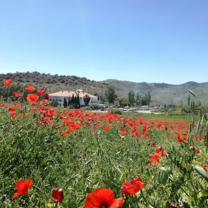 https://hotel-arco-del-sol.es-andalucia.com